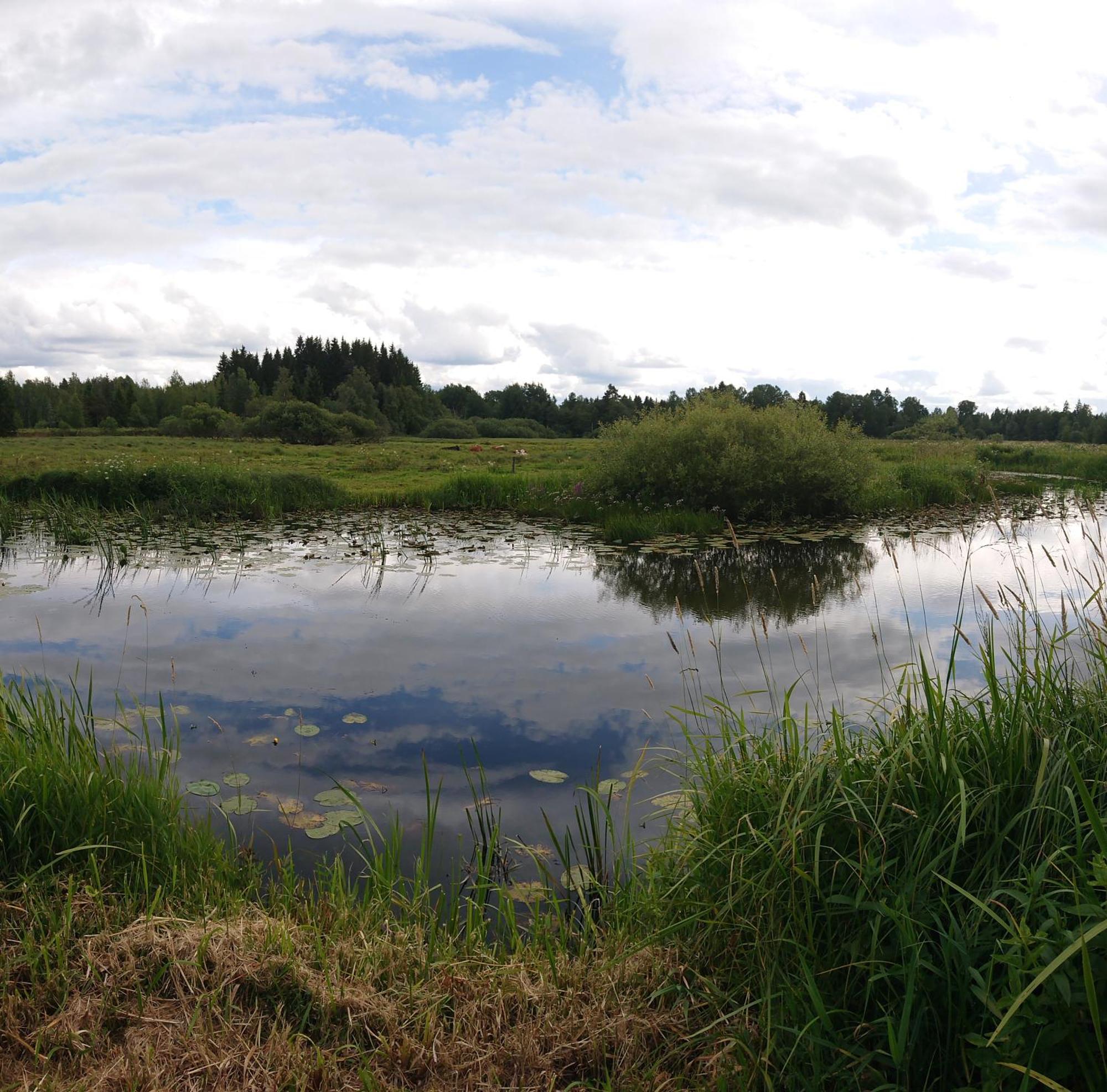 Stuga Vad Vatten Åsarp Buitenkant foto